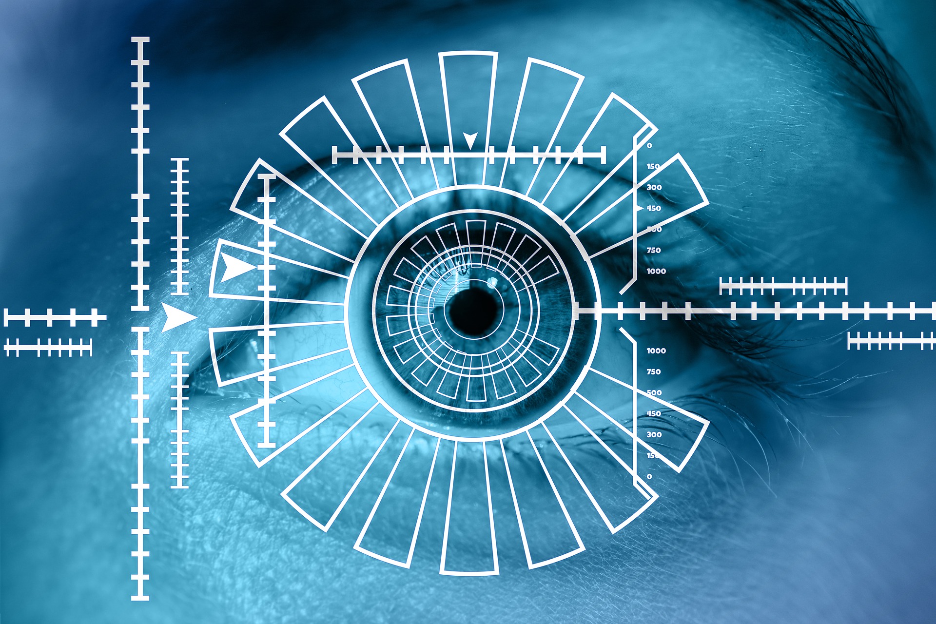 Security Verification